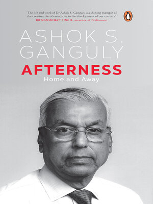 cover image of Afterness